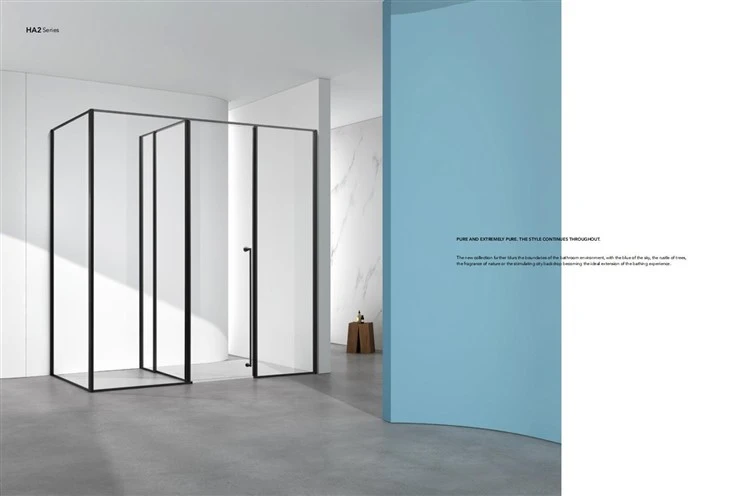 Stainless Steel With Gold Framed Shower Room