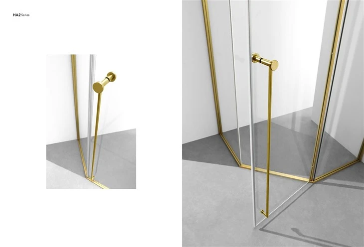 Stainless Steel With Gold Framed Shower Room