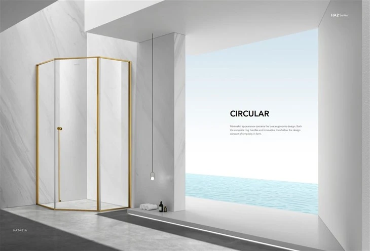 Stainless Steel With Gold Framed Shower Room